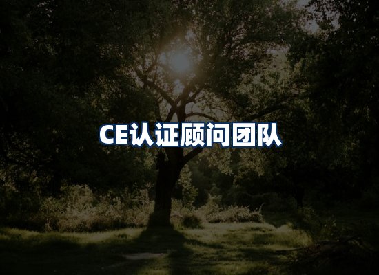 CE认证顾问团队